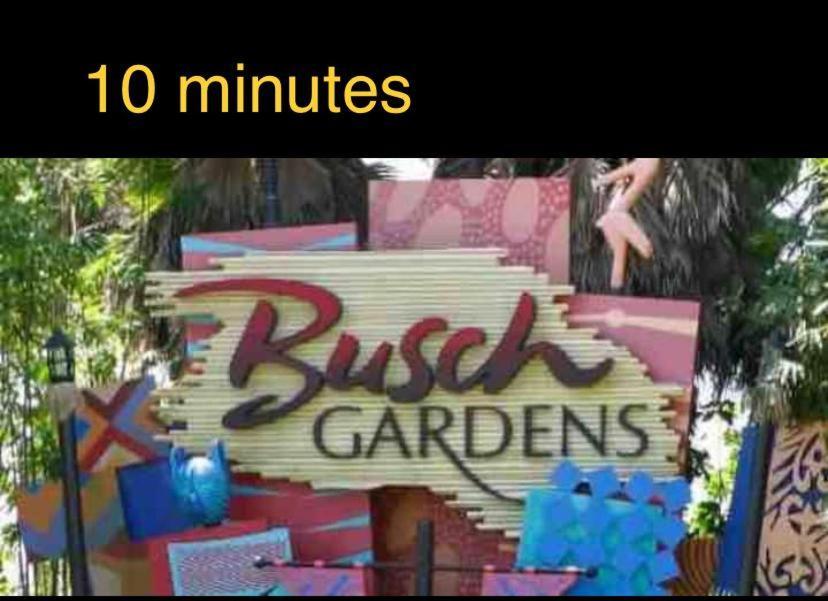 Beautiful And Comfortable Rom Apt # 2 Tampa Exteriör bild